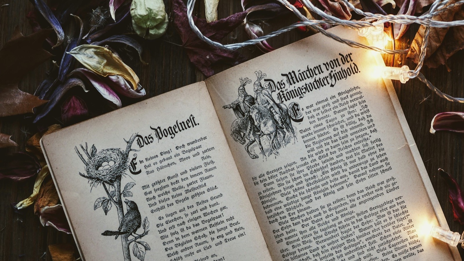 Open vintage book with German text, "Das Vogelweih" and "Das Märchen von der Prinzessin", string lights, and dried leaves.